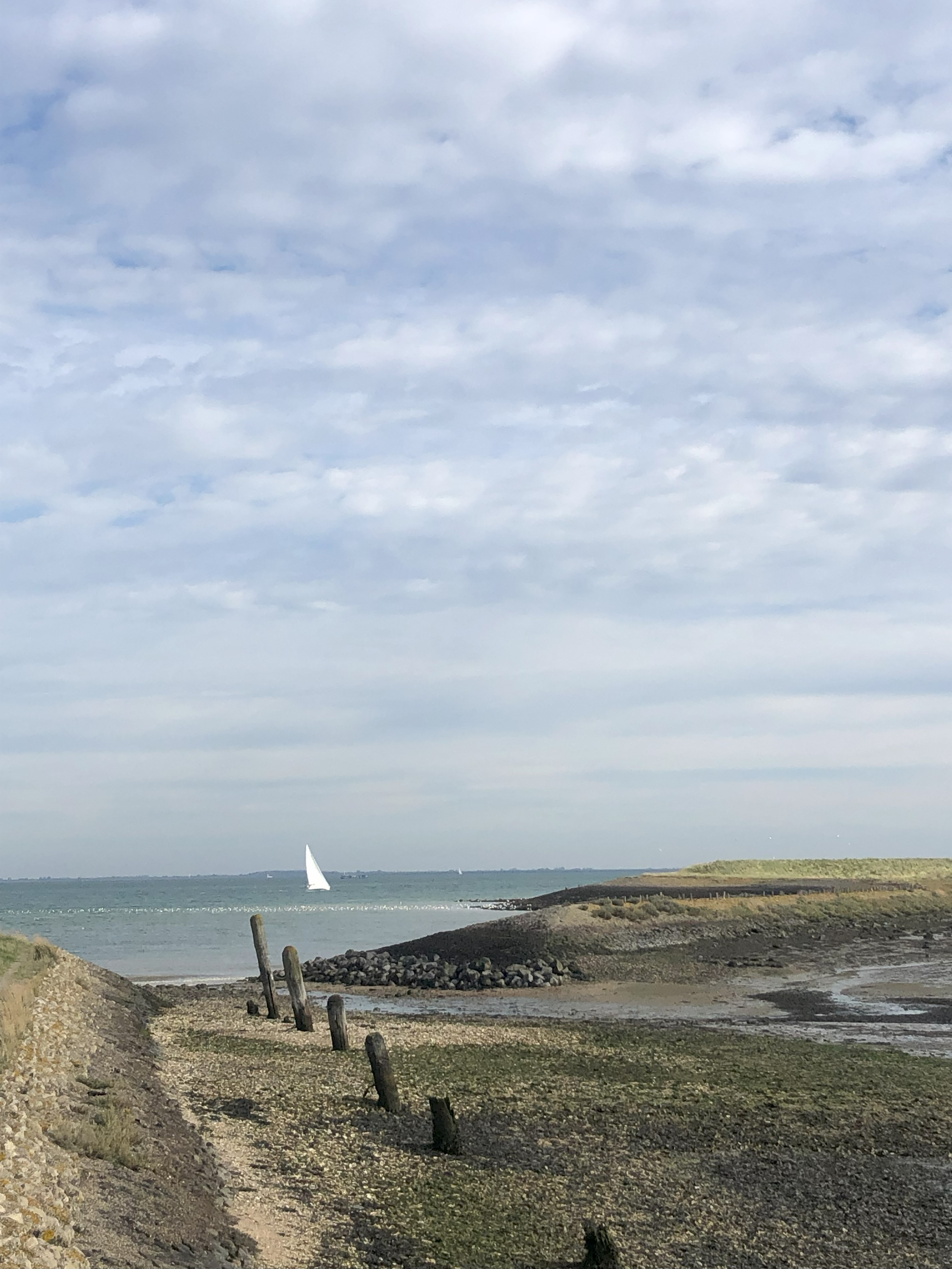 (Oesterput). Foto van Rob Eveleens.
Oude werkhaven